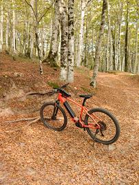 WHISTLE E-BIKE MTB elettrica B-race A7.1 Bosch cx