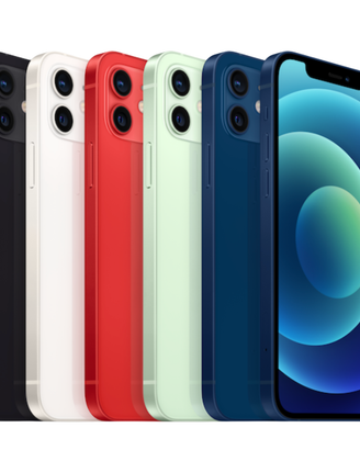 iPhone 12/12 Mini-ritiro usato 1 anno garanzia