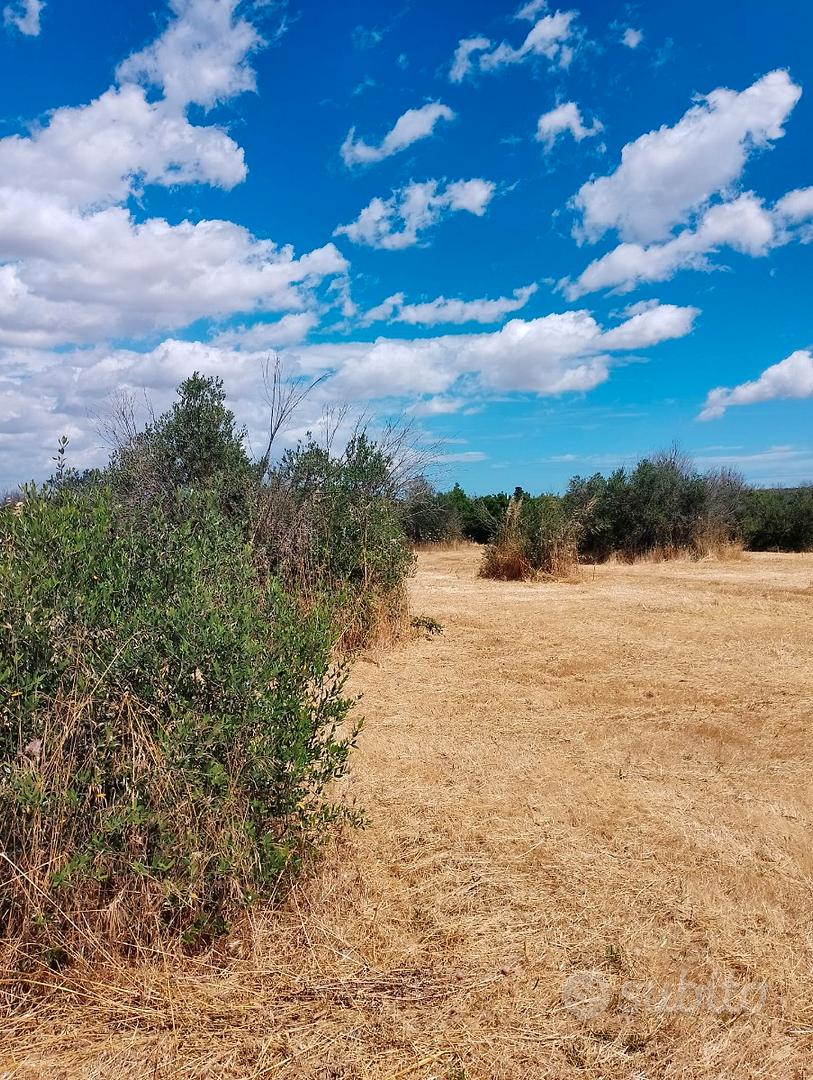 Terreno agricolo - Vista 4