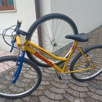 Bicicletta Esperia con ruota aggiuntiva