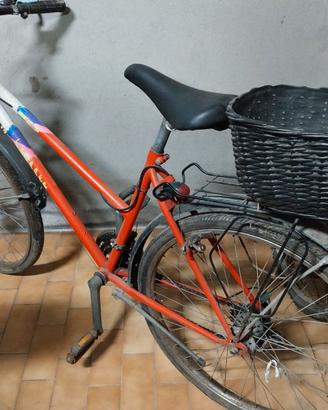 Bicicletta