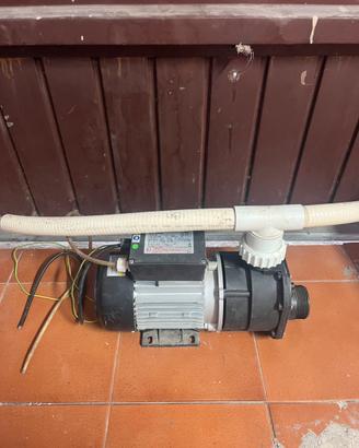 Pompa idromassaggio LX Whirlpool EA350-750W-230V
