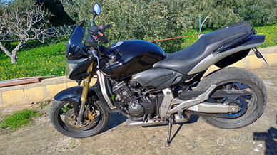 Hornet 600