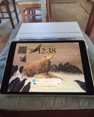 IPAD 2021 9TH GENERAZIONE