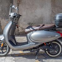 Wayel W3 - 2023