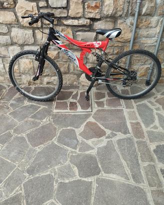bicicletta da bambino 