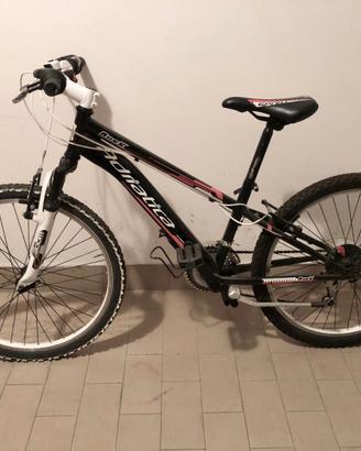 Bicicletta MTB Adriatica Rock