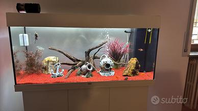 acquario completo di mobile, accessori e pesci