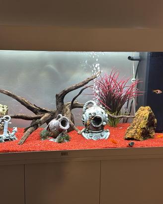 acquario completo di mobile, accessori e pesci