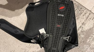 Paraschiena pettorina Zandona’