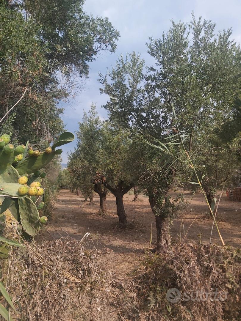 Terreno a Villapiana Lido a 800 mt dal mare - Vista 3