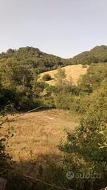Azienda agricola biologica