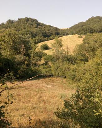 Azienda agricola biologica