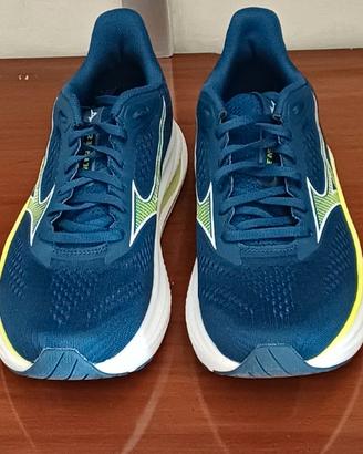 Mizuno Wave Inspire 22