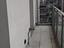 Immagine 12