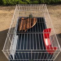 Gabbietta per coniglio