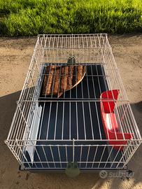 Gabbietta per coniglio