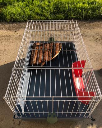 Gabbietta per coniglio