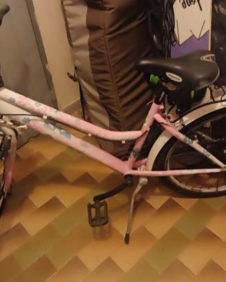 Bicicletta