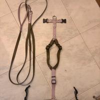 Pettorina ad H+guinzaglio 3m. biothane(waterproof)