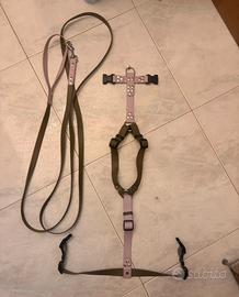 Pettorina ad H+guinzaglio 3m. biothane(waterproof)