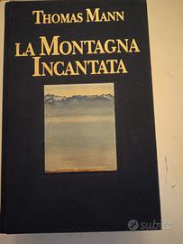 la montagna incantata - thomas Mann copertina tela