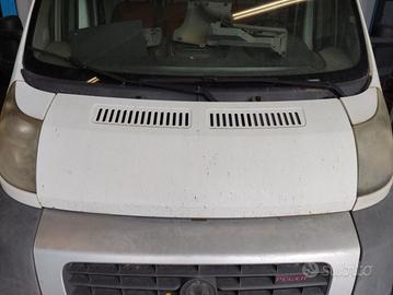 Cofano FIAT DUCATO del 2007