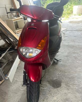 Peugeot 100cc Anno 2000