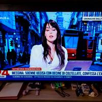 Samsung 65" 4K 280€- perfetto stato- piccolo segno