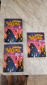 libro italiano scuola media