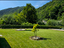 Immagine 7