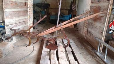 sarchio del 1950 per asino 