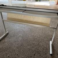 Taglierina professionale luce 170cm