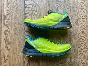 Salomon Vibe Sense Pro Max 41 1/3