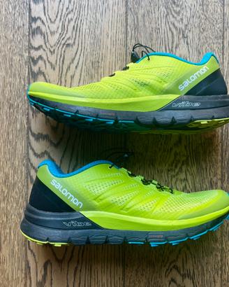 Salomon Vibe Sense Pro Max 41 1/3