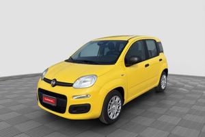 FIAT Panda Pandina 1.0 FireFly 65 CV Hybrid Pop