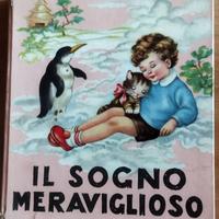 Il sogno meraviglioso,  J. Colombini