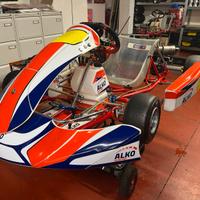 Gokart Birel 125 monomarcia avviamento elettrico