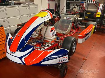 Gokart Birel 125 monomarcia avviamento elettrico
