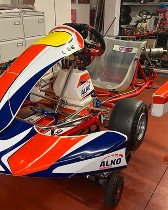 Gokart Birel 125 monomarcia avviamento elettrico