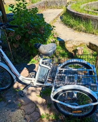 Bicicletta elettrica