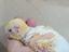 Immagine 4