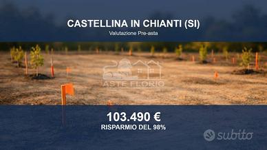 Immobile in asta di 21873 m² a Castellina in Chian