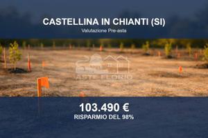 Immobile in asta di 21873 m² a Castellina in Chian