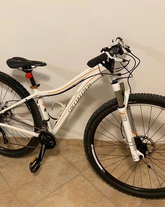 Specialized Jett