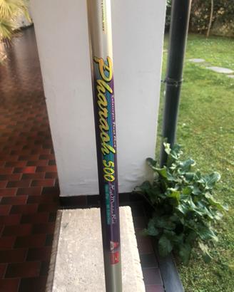 Canna da pesca Carson 5 m