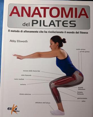 Anatomia del Pilates