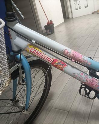 bici 24