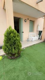 APPARTAMENTO