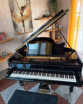Pianoforte a Coda Steinway e Son’s B211